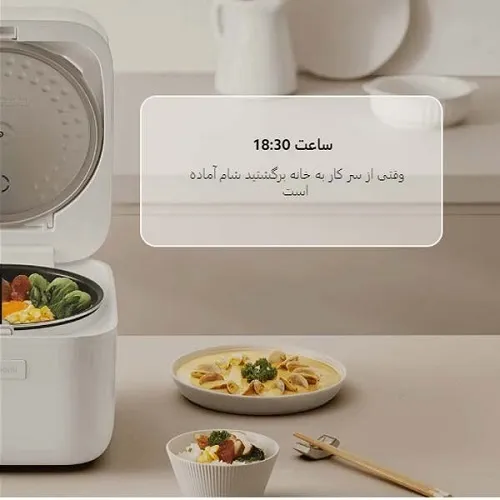 پلوپز چند کاره شیائومی مدل MFB090 ظرفیت ۴ لیتر